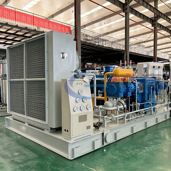 CNG Pump CNG Pump